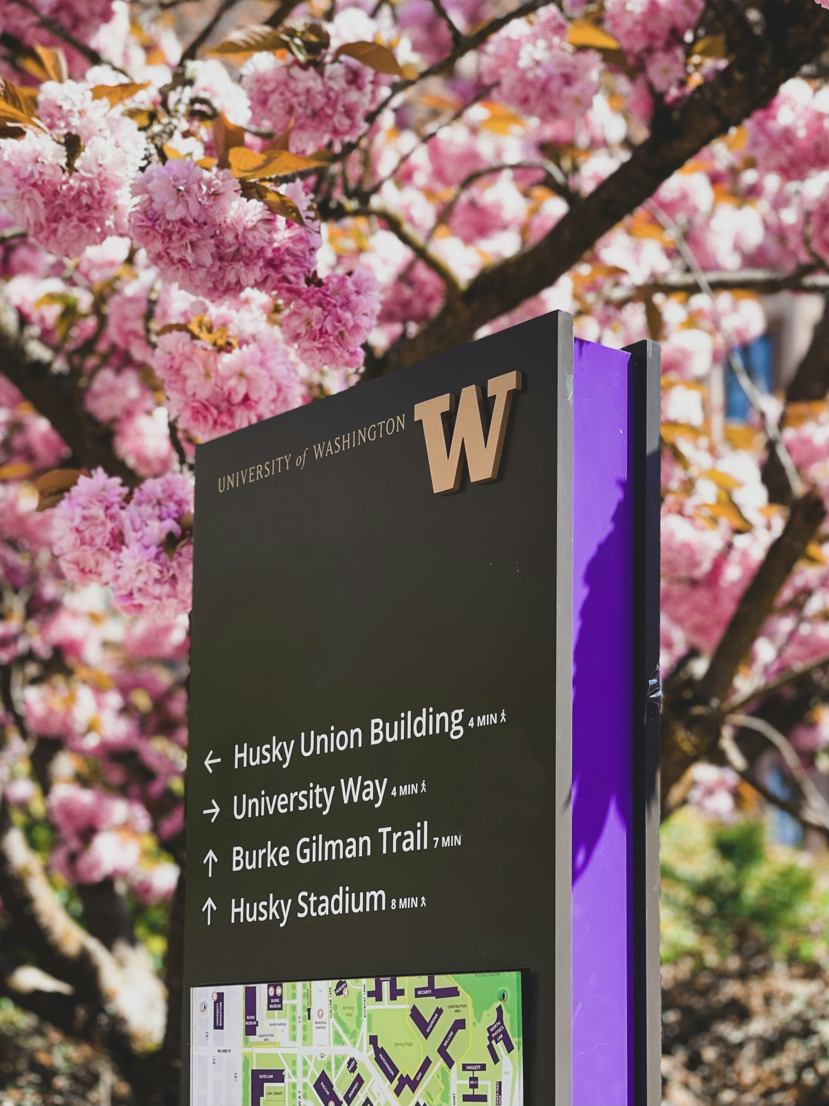 University of Washington Spring
